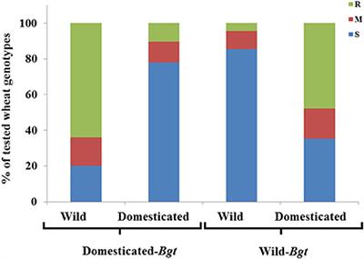 Reciprocal Hosts' Responses to Powdery Mildew Isolates Originating from Domesticated Wheats and Their Wild Progenitor